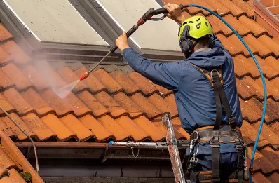 Démoussage et hydrofuge de toiture à Thodure